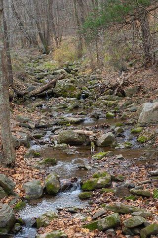 8122 Rich Patch RD, Covington, VA 24426