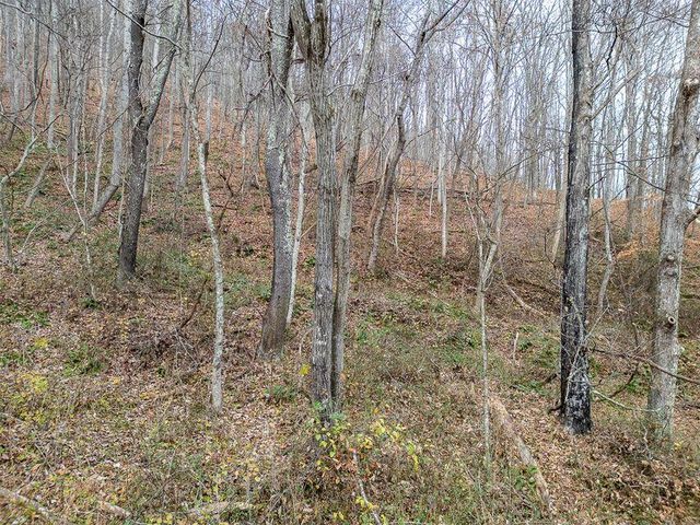 8122 Rich Patch RD, Covington, VA 24426