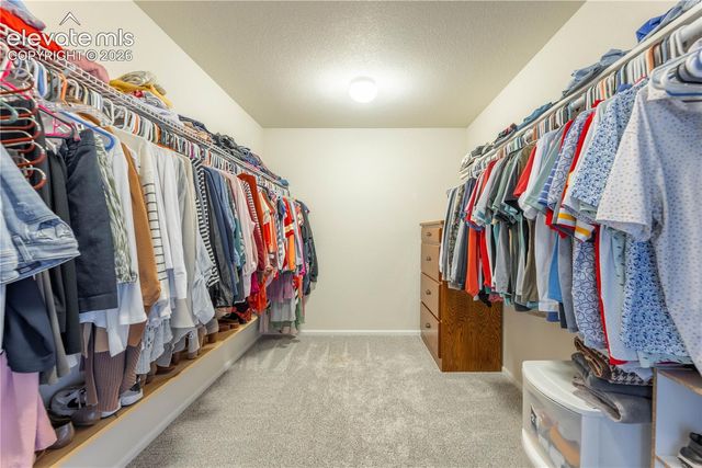 1368 Castle Creek Circle, Castle Rock, CO 80104