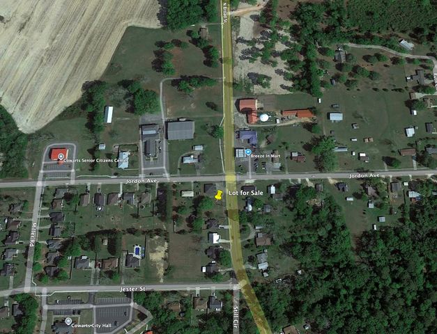 .35 Acres North Broad St, Cowarts, AL 36321