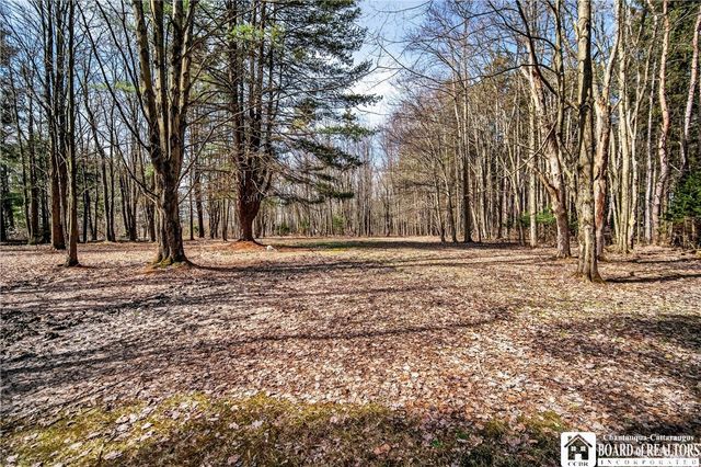 1309 Forest Avenue Extension, Busti, NY 14701