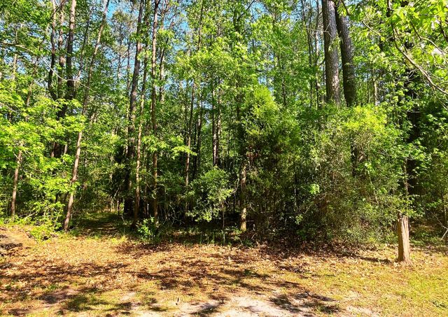 211 Osprey Drive, Moncks Corner, SC 29461