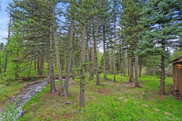 25 Cottonwood Trail, La Veta, CO 81055