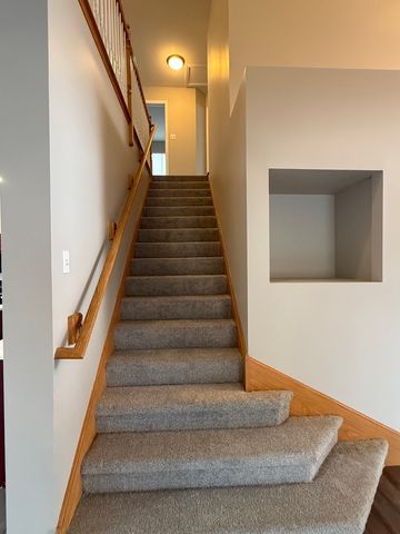 1617 Stanton Lane, Plainfield, IL 60586