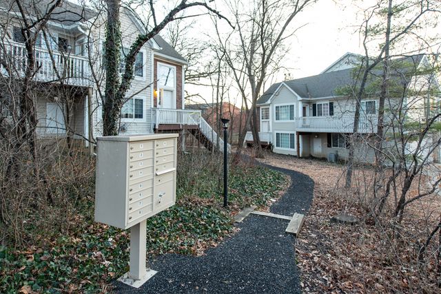 341 W Treehouse Lane 11-4, Round Lake, IL 60073