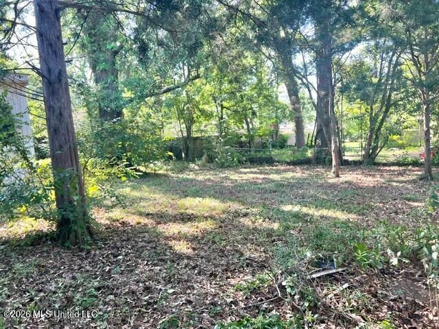 316 Lexington Avenue, Jackson, MS 39209