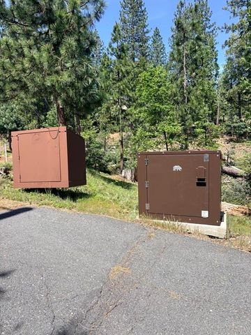1675 Shirley Way, Arnold, CA 95223