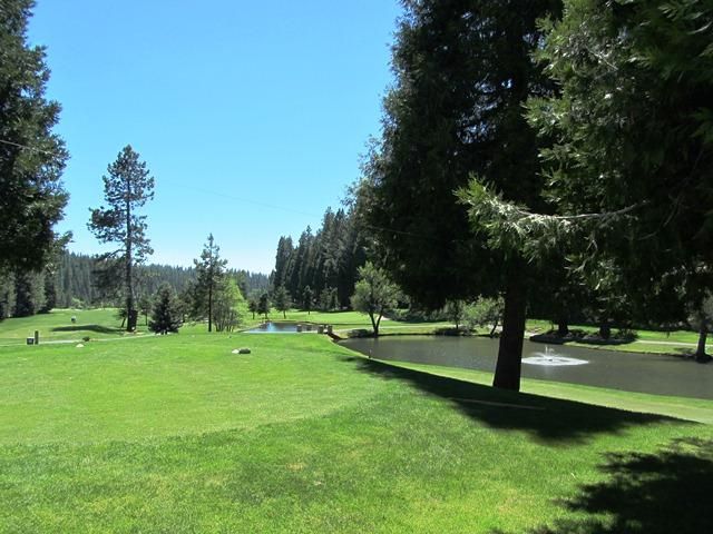 1675 Shirley Way, Arnold, CA 95223