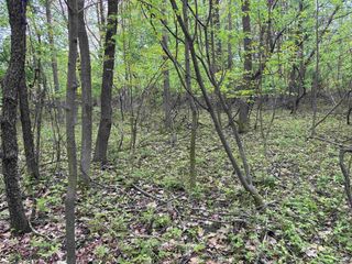 .85 acres LORREL STREET, Mosinee, WI 54455