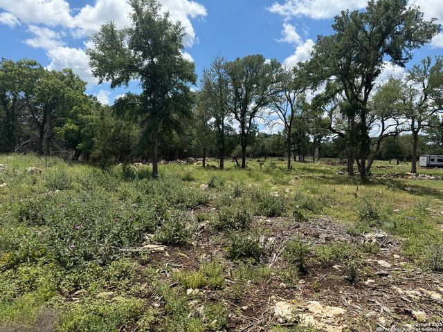 30602 Krueger, Bulverde, TX 78163
