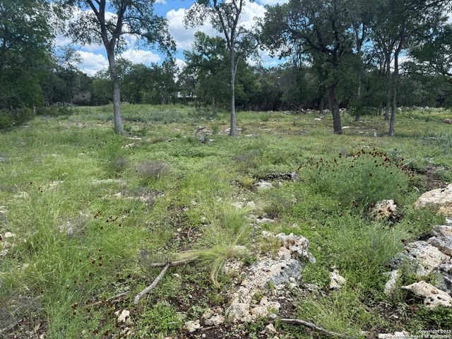 30602 Krueger, Bulverde, TX 78163