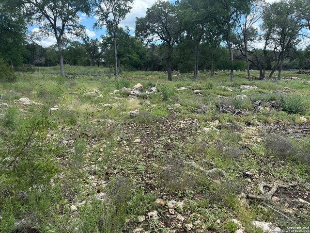 30602 Krueger, Bulverde, TX 78163