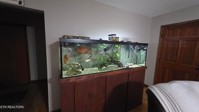 992 Walden Ridge Lane, Caryville, TN 37714