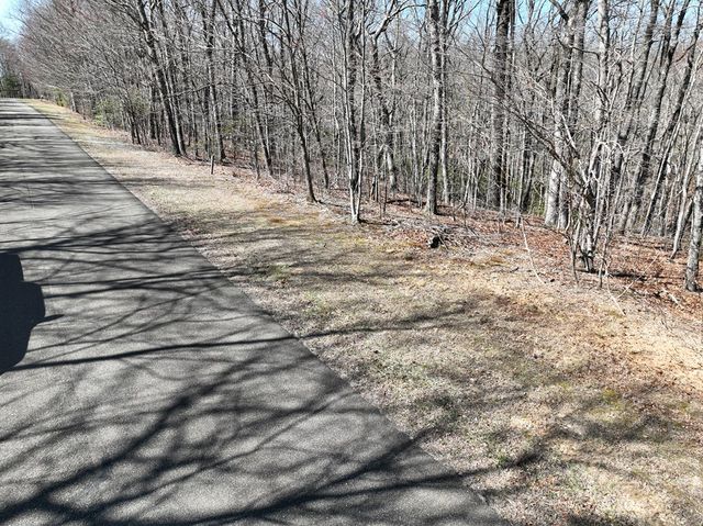206 Northview Parkway, Ellijay, GA 30536