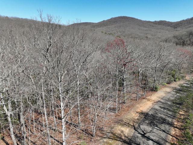206 Northview Parkway, Ellijay, GA 30536