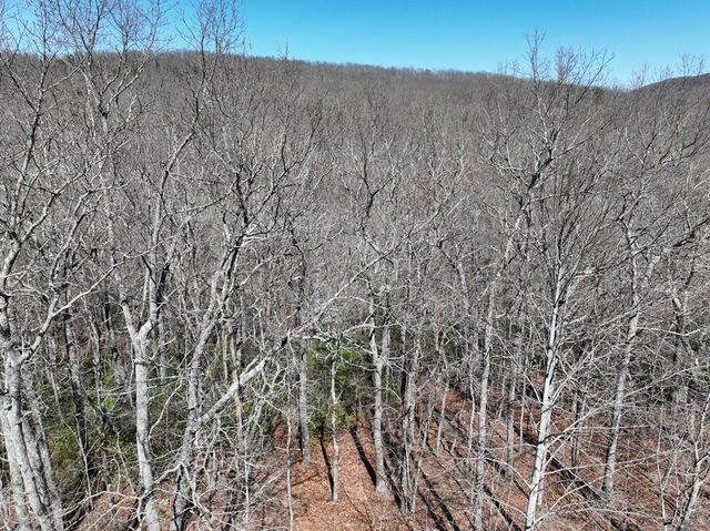 206 Northview Parkway, Ellijay, GA 30536