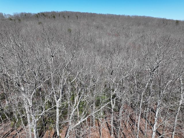 206 Northview Parkway, Ellijay, GA 30536