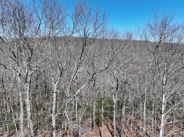 206 Northview Parkway, Ellijay, GA 30536
