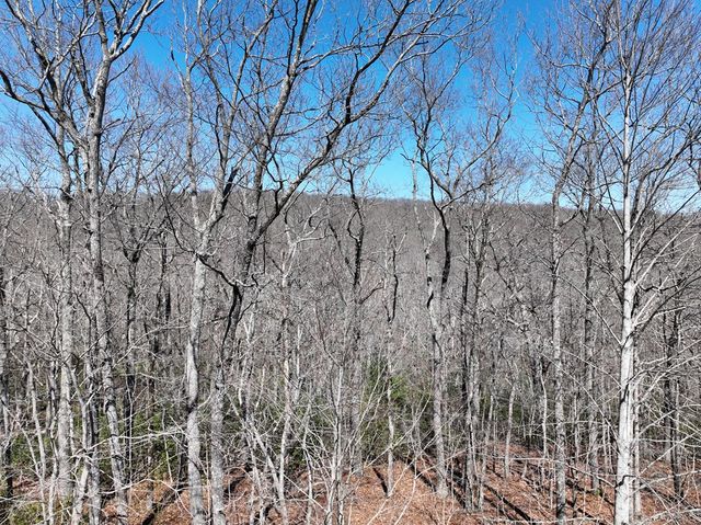 206 Northview Parkway, Ellijay, GA 30536