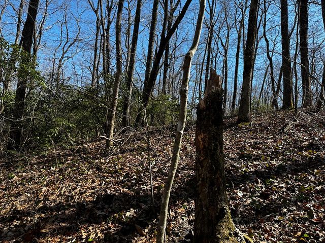206 Northview Parkway, Ellijay, GA 30536