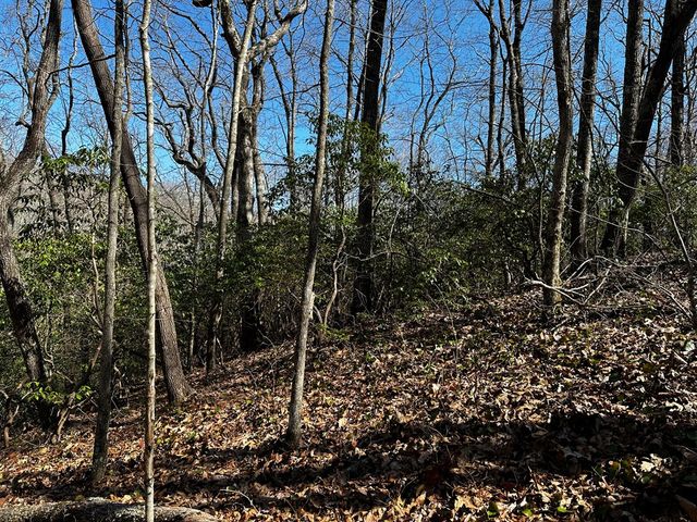 206 Northview Parkway, Ellijay, GA 30536