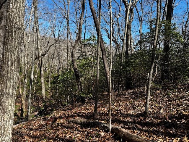 206 Northview Parkway, Ellijay, GA 30536