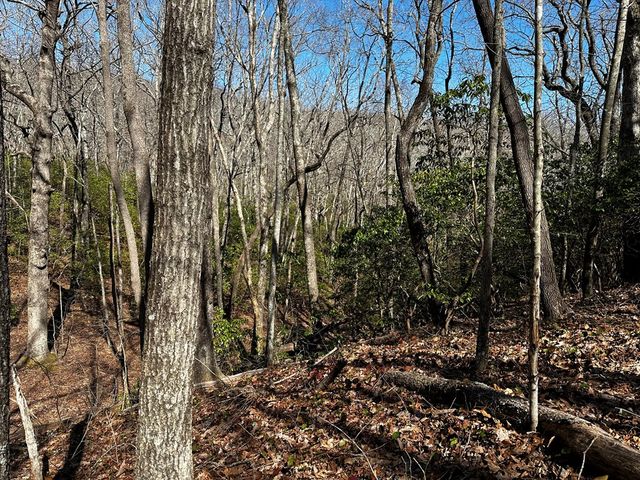 206 Northview Parkway, Ellijay, GA 30536