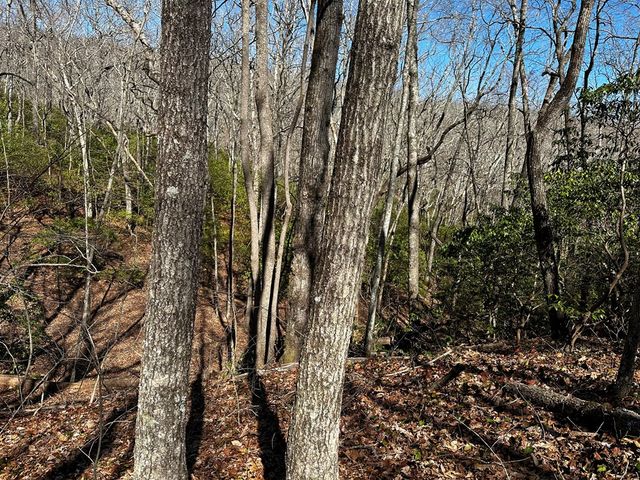 206 Northview Parkway, Ellijay, GA 30536
