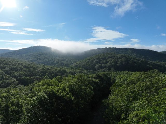 206 Northview Parkway, Ellijay, GA 30536