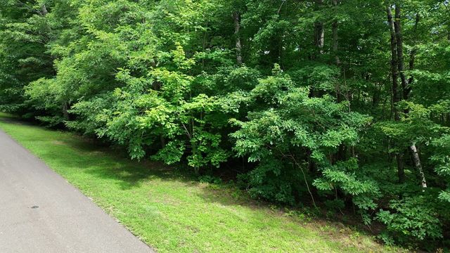 206 Northview Parkway, Ellijay, GA 30536