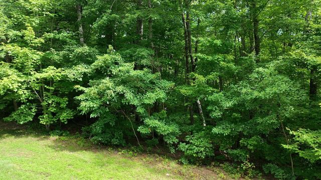 206 Northview Parkway, Ellijay, GA 30536