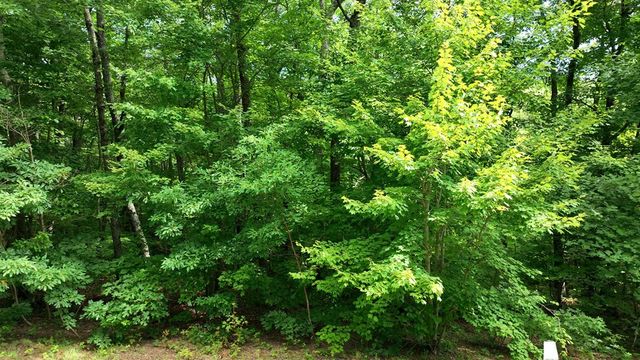 206 Northview Parkway, Ellijay, GA 30536