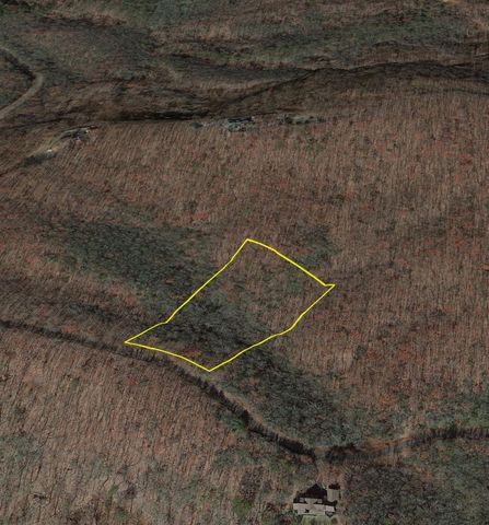 206 Northview Parkway, Ellijay, GA 30536