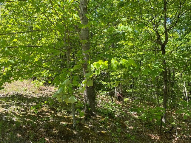 206 Northview Parkway, Ellijay, GA 30536