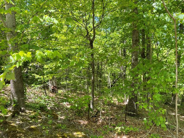206 Northview Parkway, Ellijay, GA 30536