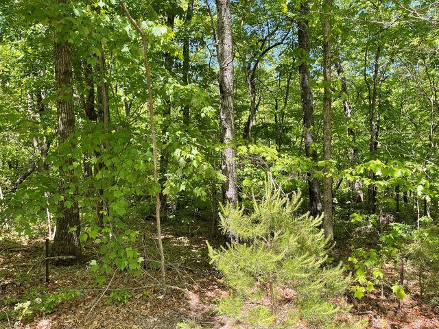 206 Northview Parkway, Ellijay, GA 30536