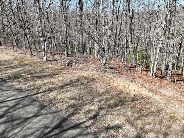206 Northview Parkway, Ellijay, GA 30536