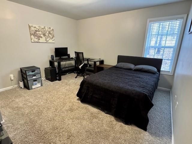 206 Brick Mill Drive, Canton, GA 30115