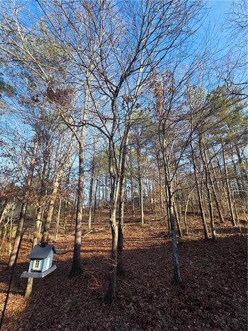 206 Brick Mill Drive, Canton, GA 30115