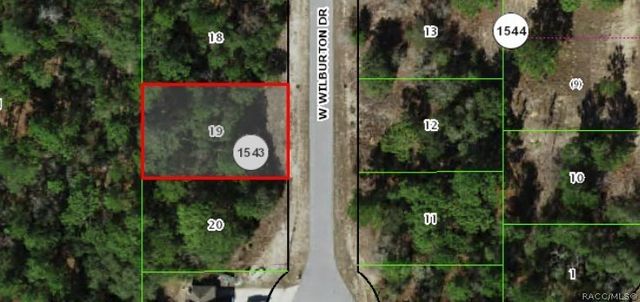 3963 W Wilburton Drive, Dunnellon, FL 34433
