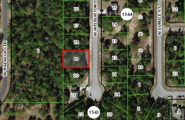 3963 W Wilburton Drive, Dunnellon, FL 34433