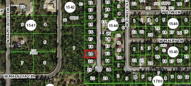 3963 W Wilburton Drive, Dunnellon, FL 34433