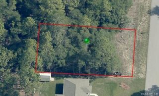 3963 W Wilburton Drive, Dunnellon, FL 34433