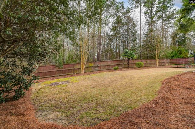 177 Lakeport Drive, Chapin, SC 29036