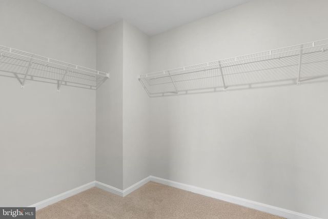 3210 WHITE TAIL DR, Locust Grove, VA 22508