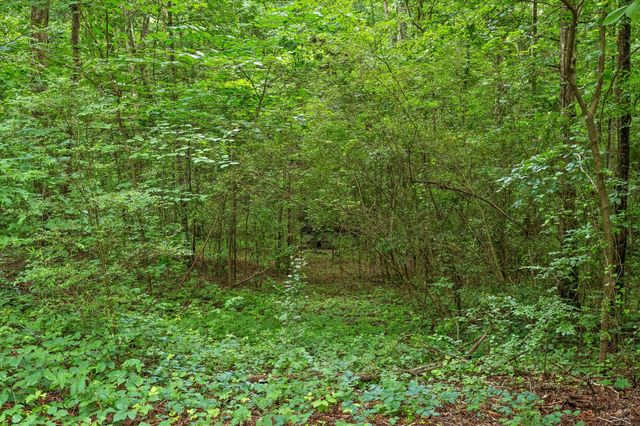 0 Crestline Drive, Rossville, GA 30741