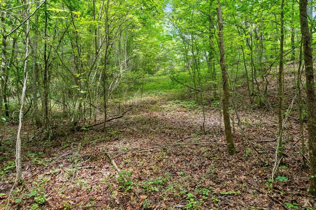 0 Crestline Drive, Rossville, GA 30741