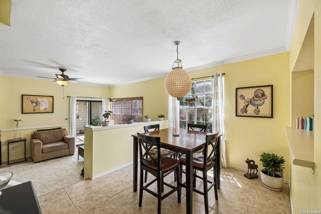 12 Cross Canyon, San Antonio, TX 78247