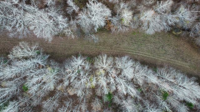8885 Rasbury Hollow Rd, Waynesboro, TN 38485