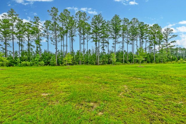 149 Greenbelt Court, Summerville, SC 29485
